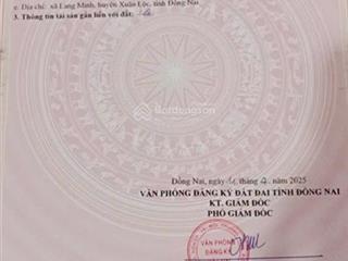 Cần chuyển nhượng 1.987 m² đất cây hàng năm, sổ riêng mới ra 2025,