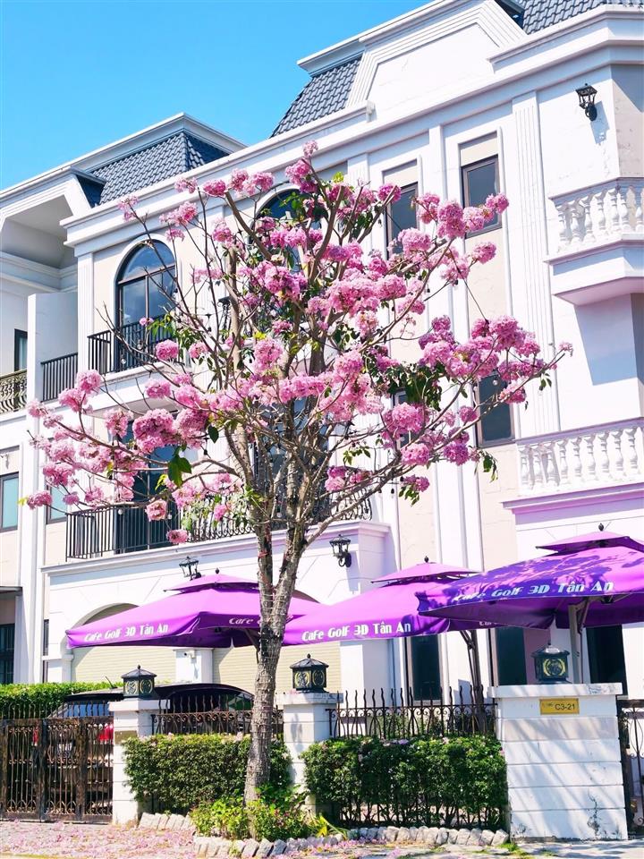 Chỉ 3,9 tỷ sở hữu ngay nhà phố 3 lầu đã có sổ, ngay siêu thị aeon