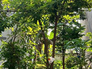 Chính chủ bán lô đất đã có sổ thích hợp mua ở, đầu tư  xây dựng ngay!