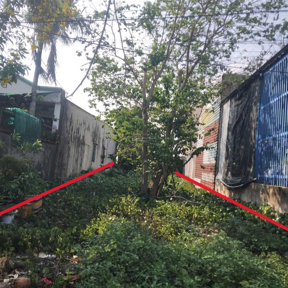 Bán gấp lô 86m2 giá 850tr đường cây da, tân phú trung, gần khu dân cư tân phú trung, sổ hồng riêng