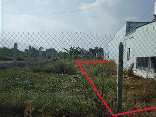 Bán gấp 129m2 tân thông hội, củ chi, liêu bình hương gần chợ việt kiều cách ql22 400m giá 1tỷ250tr