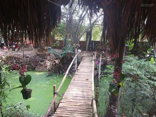 Bán đất tại e7/141g, thế lữ, bình chánh, 25 tỷ, 1500m2, giá siêu hời