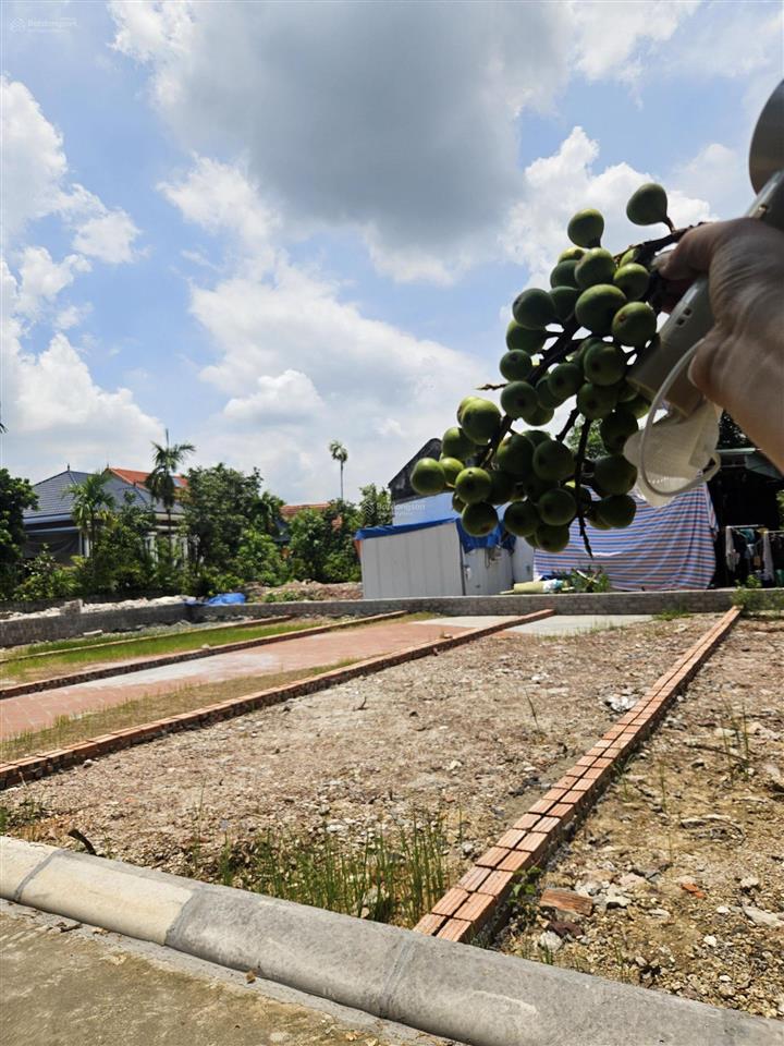 Bán đất trung tâm thủy nguyên (xã hòa bình cũ)