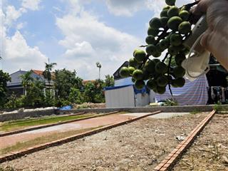 Bán đất trung tâm thủy nguyên (xã hòa bình cũ)