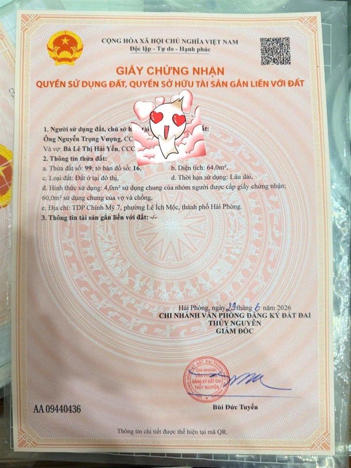 Bán đất giá rẻ chính chủ tại thủy nguyên