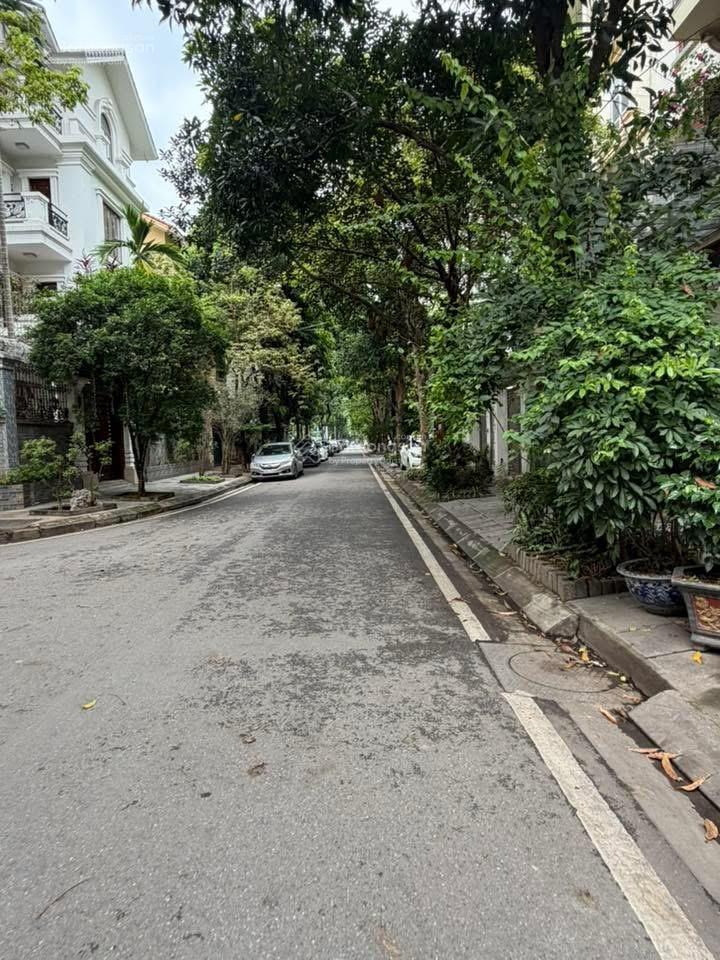 Biệt thự mỹ đình 1 | 100m | 6 tầng thang máy | 52 tỷ