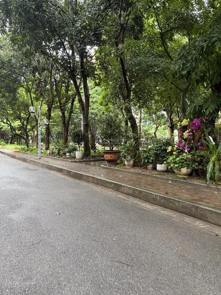 Tòa nhà huy du  nguyễn cơ thạch | 102m | 7 tầng + 1 hầm | 52 tỷ