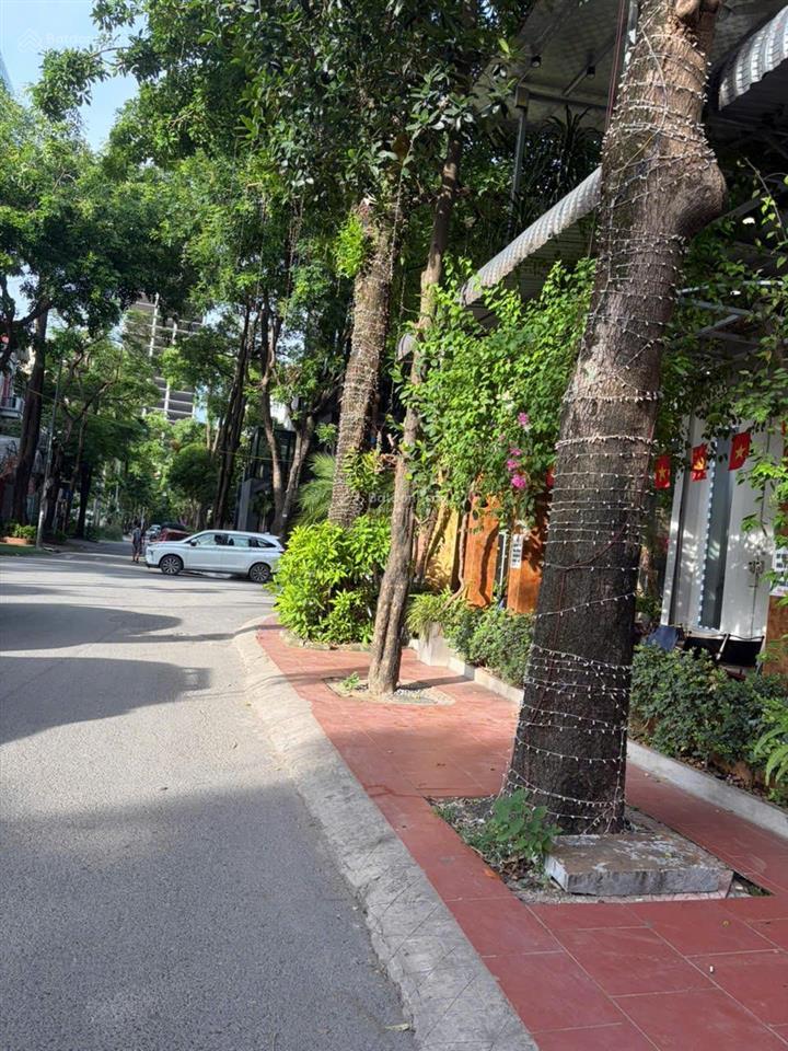Nhà đẹp bùi xuân phái  mỹ đình 2 | 200m2 | 59 tỷ