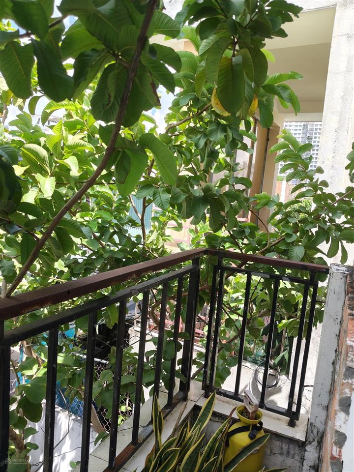 Gấp bán nhà đẹp sân vườn cực mát, trung tâm bình trưng, giáp sông giồng, vị trí cực kỳ tiềm năng