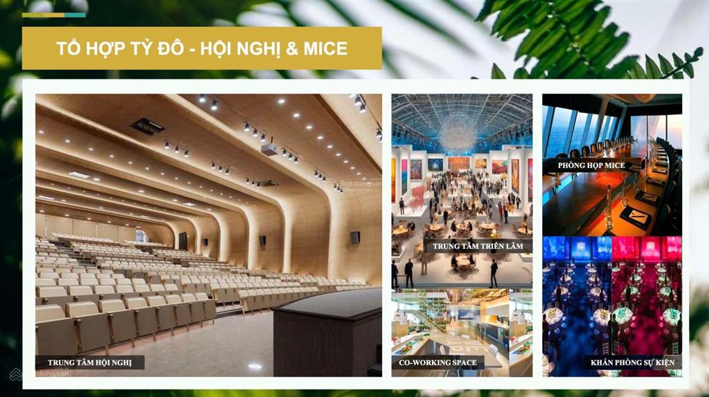 Villa maia hồ tràm  21.4 tỷ  3pn  tt 50% nhận nhà  vận hành cho thuê  hồi vốn sau 10 năm