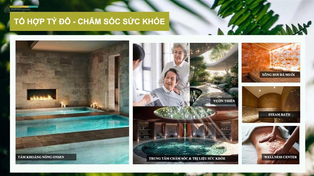 Villa maia hồ tràm  21.4 tỷ  3pn  tt 50% nhận nhà  vận hành cho thuê  hồi vốn sau 10 năm