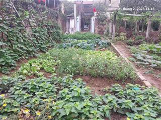 Cần sang tên mảnh đất 92m2, 4.6m, 5.85 tỷ, nở hậu, ô tô, thông, việt hùng, đông anh