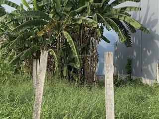 Gần vòng xoay 5 con rồng tân kim, cần giuộc e đang cần bán lô đất giá cực ưu đãi 90m2/545tr