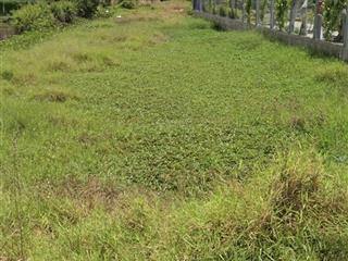 925tr/100m2 ở tân quý tây tây bình chánh chủ làm ăn thô lỗ cần bán gấp trong tháng liên thông ql 1a