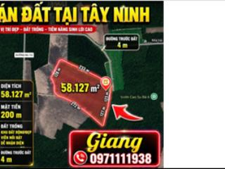Bán đất diện tích lớn tại tây ninh, mặt tiền 200m, đường trước đất 4m