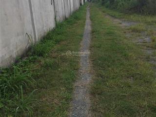 Bán đất tại đường tỉnh lộ 8, trung an, huyện củ chi, 6,6 tỷ, 990 m2 giá cực chất