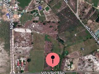 Nhà ở nghỉ dưỡng, làm du lịch, có đủ loại cây ăn trái. 400 gốc thanh long, hơn 100 cây dừa