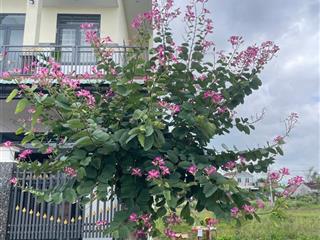 Muốn bán lô đất nền đấu giá tại khu dân cư xã nhơn khánh, phường bình định, tỉnh gia lai