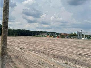 Kẹt tiền bán gấp 300m2 đất  sát kcn becamex  dân cư đông  buôn bán, xây trọ sinh lời!