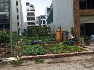 Chính chủ cho thuê 108m2 đất thương mại dịch vụ tl9, thời gian thuê thỏa thuận