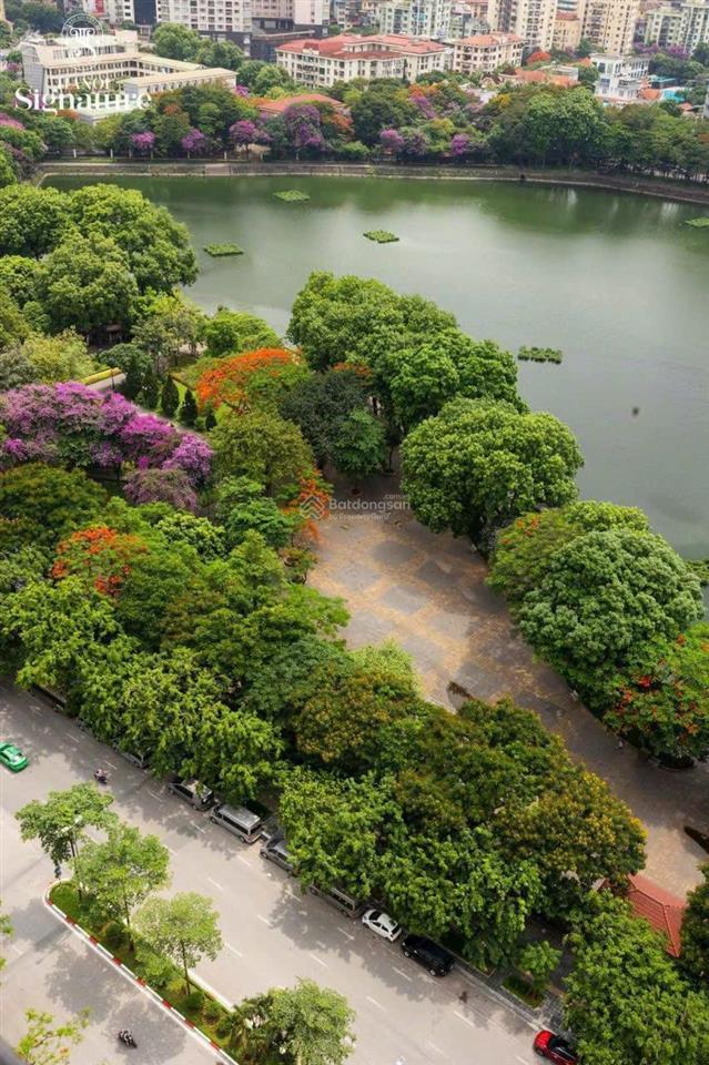 Tt chuẩn bán chcc tại dự án làng qttl, tòa handcorp, 72 trần đăng ninh, dịch vọng, cầu giấy