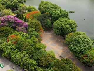 Tt chuẩn bán chcc tại dự án làng qttl, tòa handcorp, 72 trần đăng ninh, dịch vọng, cầu giấy