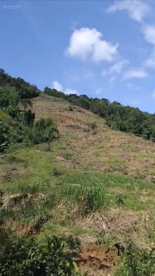 Bán đất cách quốc lộ 14 3km, minh hưng, bù đăng, 24,8 tỷ, 52486 m2