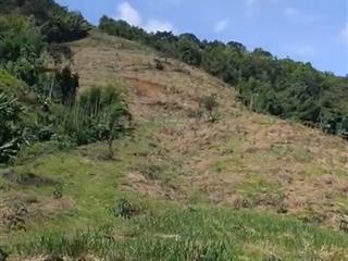 Bán đất cách quốc lộ 14 3km, minh hưng, bù đăng, 24,8 tỷ, 52486 m2