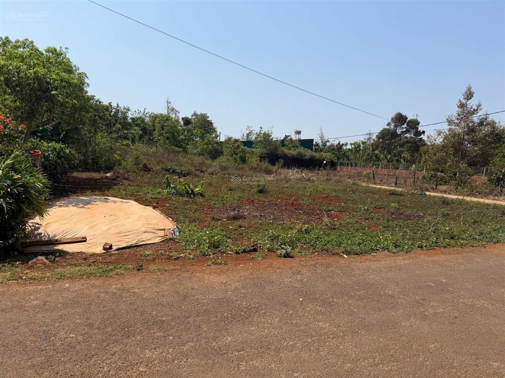 Bán đất tại nguyễn thị minh khai, đoàn kết, bù đăng, 1,6 tỷ, 1130 m2, giá ưu đãi hot!