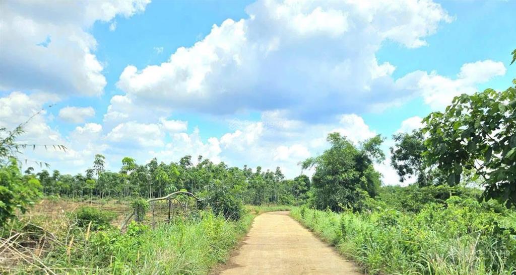 Bán đất tại xã minh hưng, huyện bù đăng, 32tỷ, 52448 m2, view đẹp giá tốt