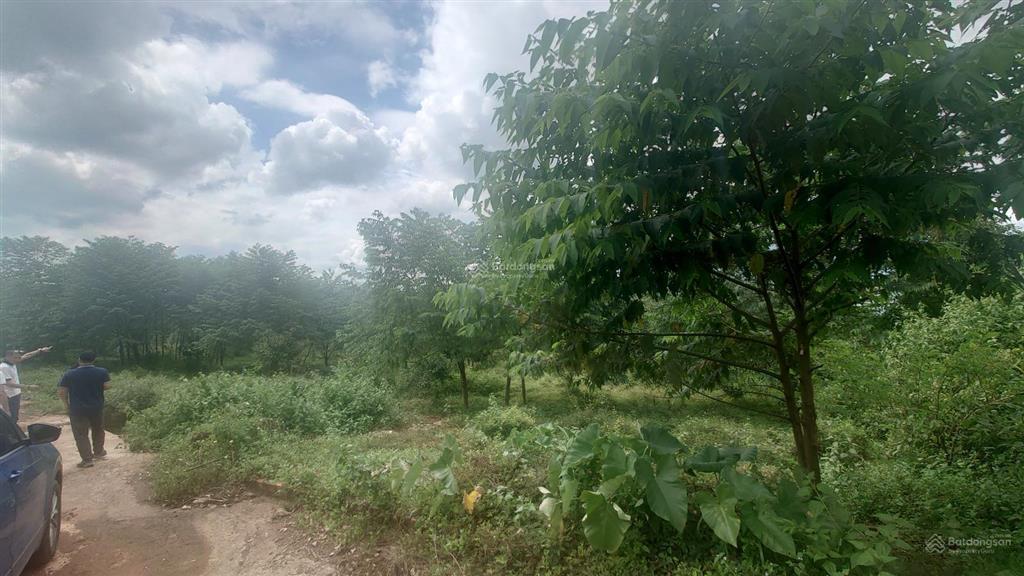 Bán đất tại nguyễn thị minh khai, đoàn kết, 1,9 tỷ, 1368 m2
