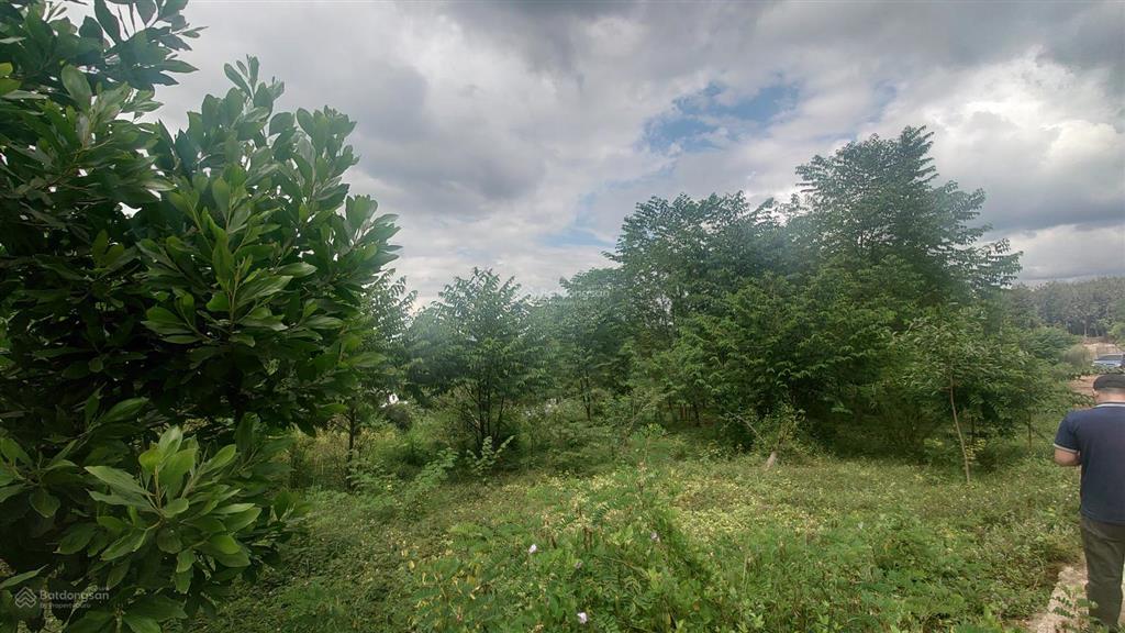 Bán đất tại nguyễn thị minh khai, đoàn kết, 1,9 tỷ, 1368 m2
