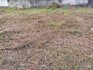 Bán gấp đất mặt tiền tại nguyễn duy trinh 1865.4m2, long trường, thủ đức, giá 192 tỷ