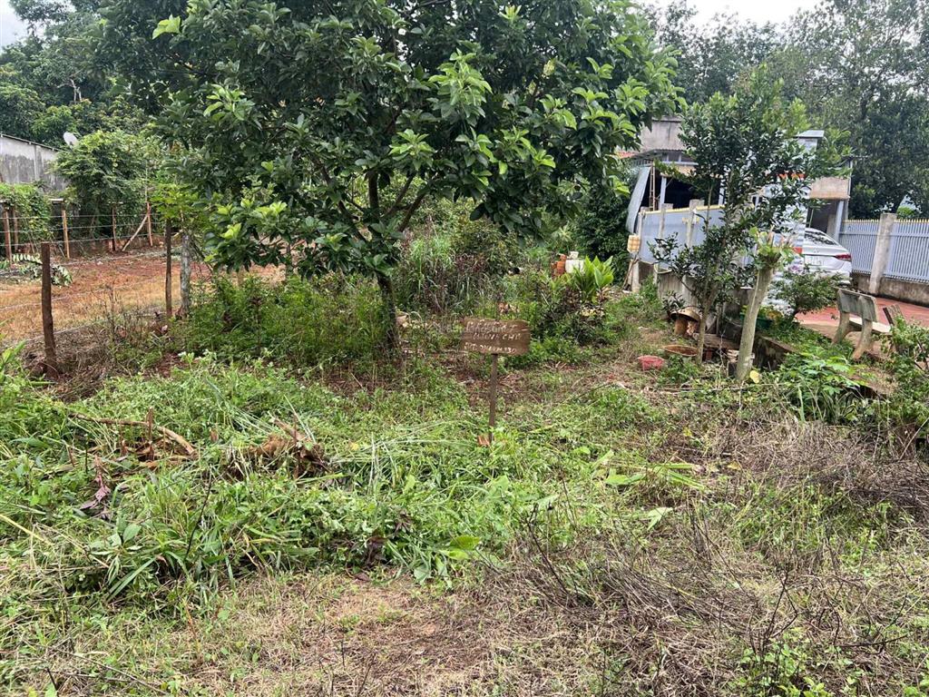 Bán đất tại đt 755, xã đoàn kết, huyện bù đăng, bình phước, 30,9 tỷ, 31625m2