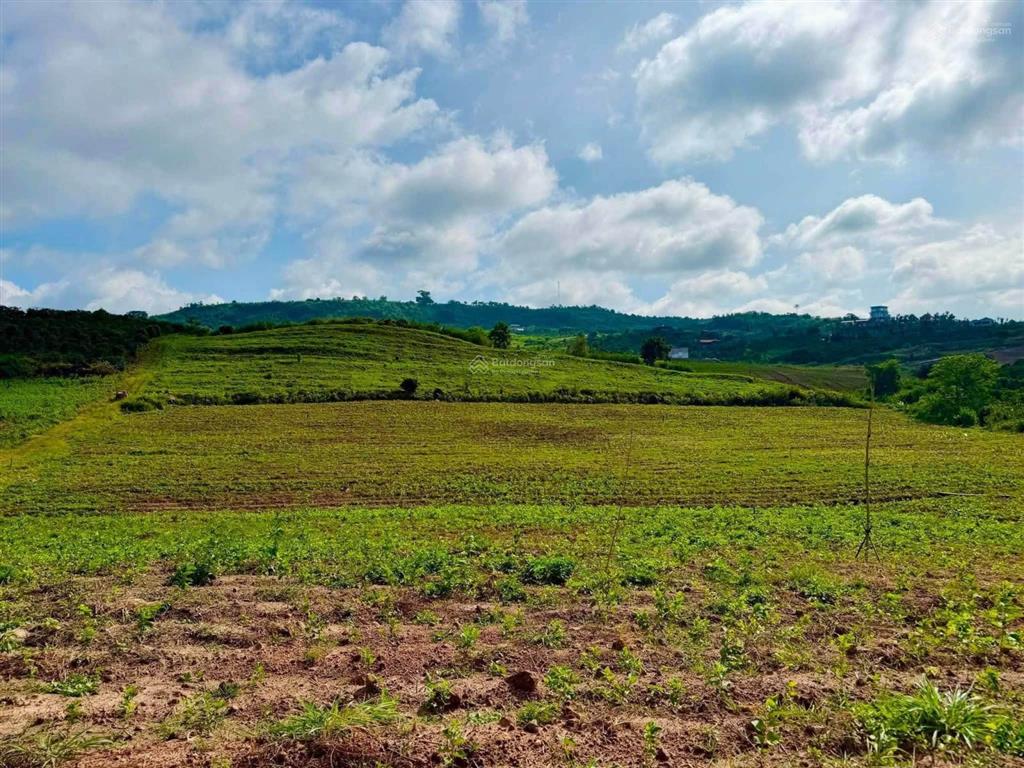 Bán đất mặt tiền 120m tại xã phước an, 30,9 tỷ, 28620m2, hàng hiếm tại bình phước