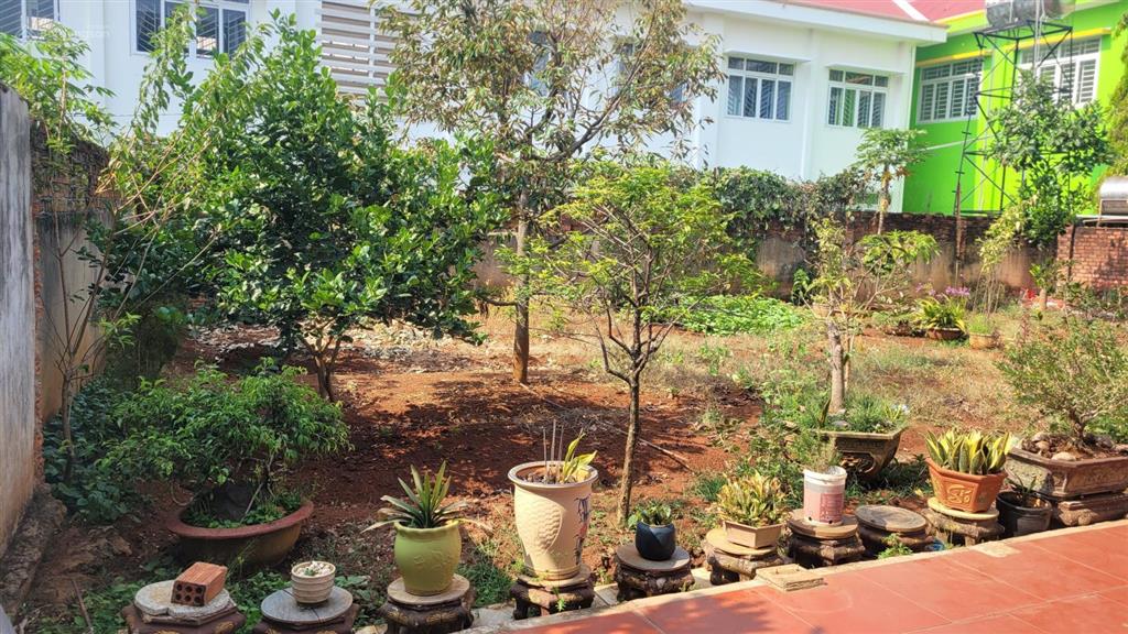 [bán đất] góc nhỏ yên tĩnh tại tân lập, buôn ma thuột phù hợp làm gardenstay hoặc nhà vườn