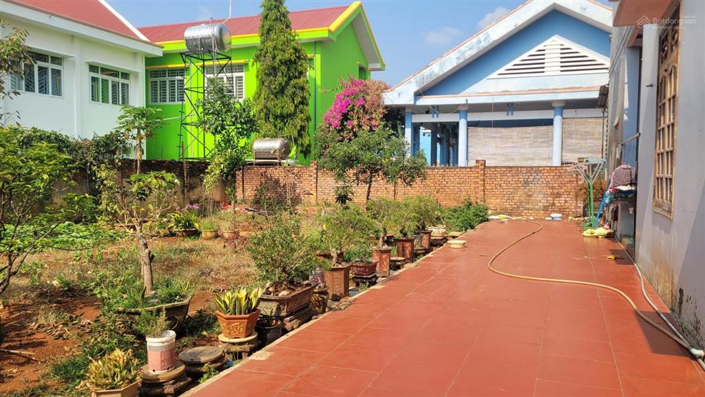 [bán đất] góc nhỏ yên tĩnh tại tân lập, buôn ma thuột phù hợp làm gardenstay hoặc nhà vườn