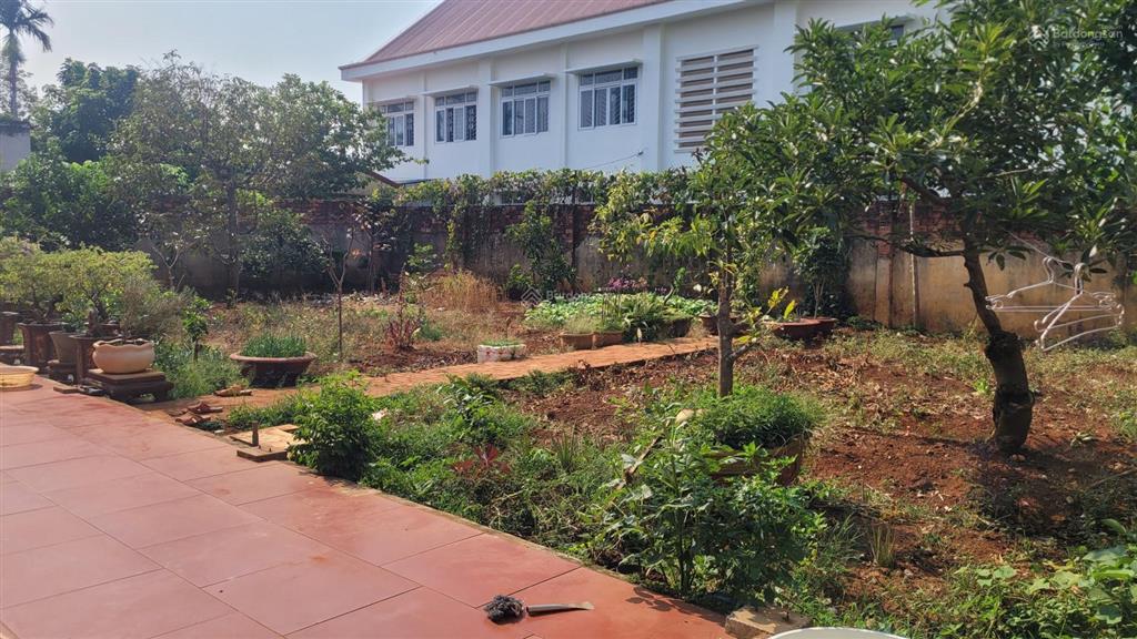 [bán đất] góc nhỏ yên tĩnh tại tân lập, buôn ma thuột phù hợp làm gardenstay hoặc nhà vườn