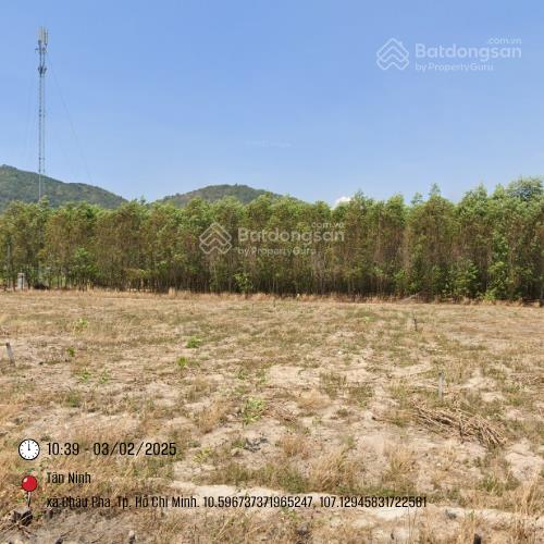 Hot. bán gấp đất tại châu pha  tóc tiên, 2,03 tỷ, 497,6 m2, giá tốt còn thương lượng thiện chí.