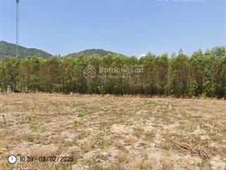 Hot. bán gấp đất tại châu pha  tóc tiên, 2,03 tỷ, 497,6 m2, giá tốt còn thương lượng thiện chí.