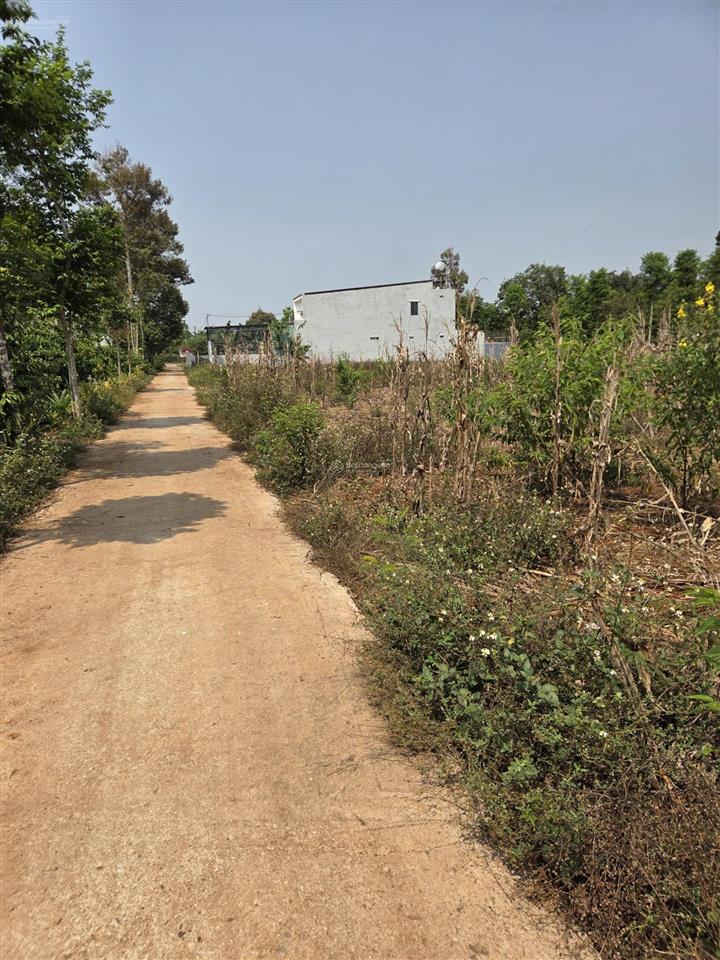 Bán đất chính chủ, thôn 3 cư suê