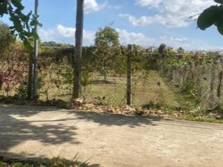 Bán đất vườn gần trung tâm  giá chỉ 1ty6