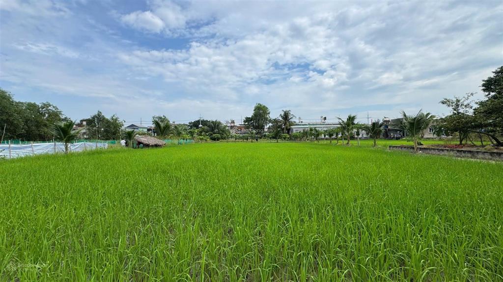 Ly hôn bán gấp lô đất 5.500m2 ngay ql22 phường gò dầu, tây ninh, giá 24,5 tỷ