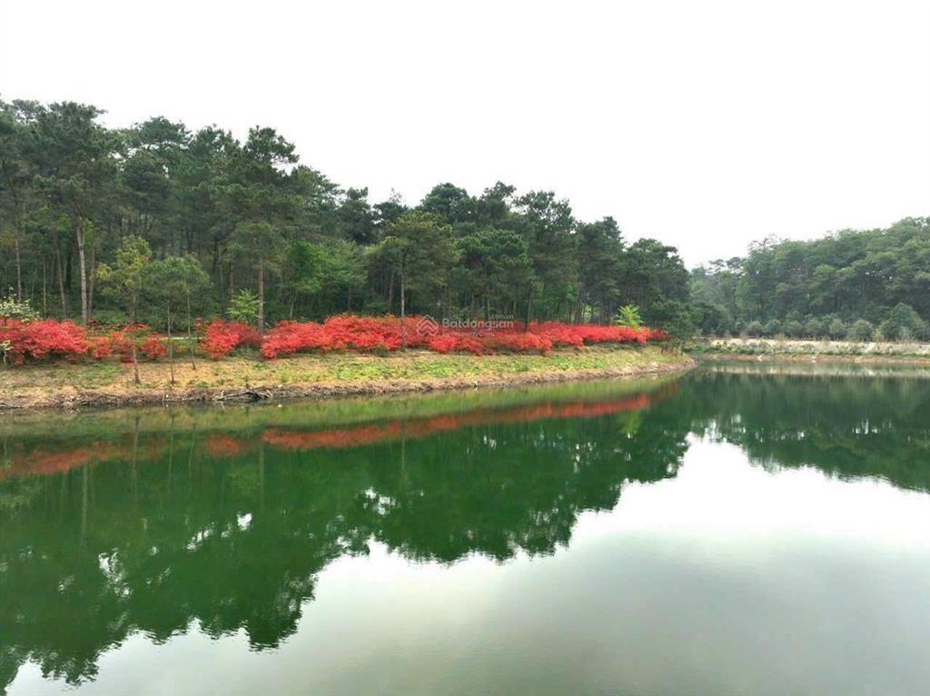 Bán ngoại giao căn hoa hậu biệt thự đơn lập 372m2 dự án valley park  thanh xuân valley