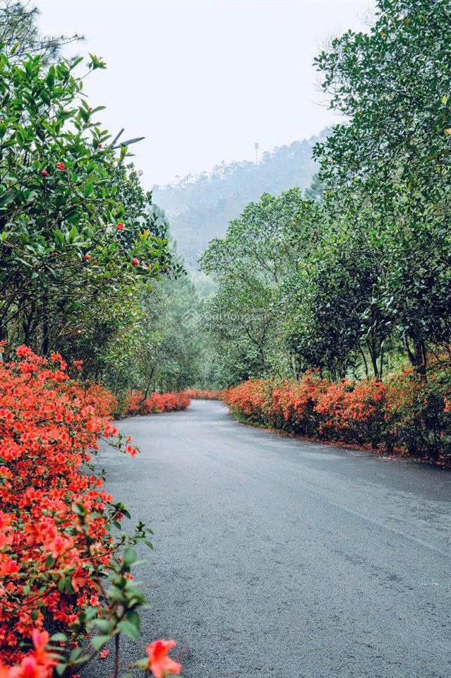 Bán ngoại giao căn hoa hậu biệt thự đơn lập 372m2 dự án valley park  thanh xuân valley