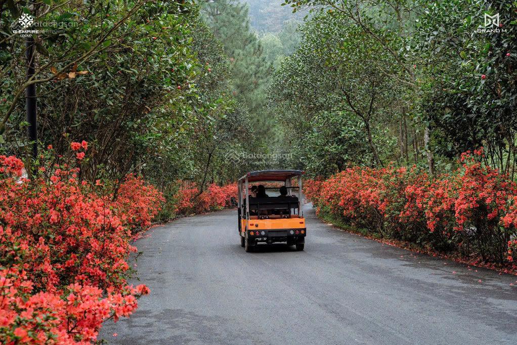 Bán ngoại giao căn hoa hậu biệt thự đơn lập 372m2 dự án valley park  thanh xuân valley