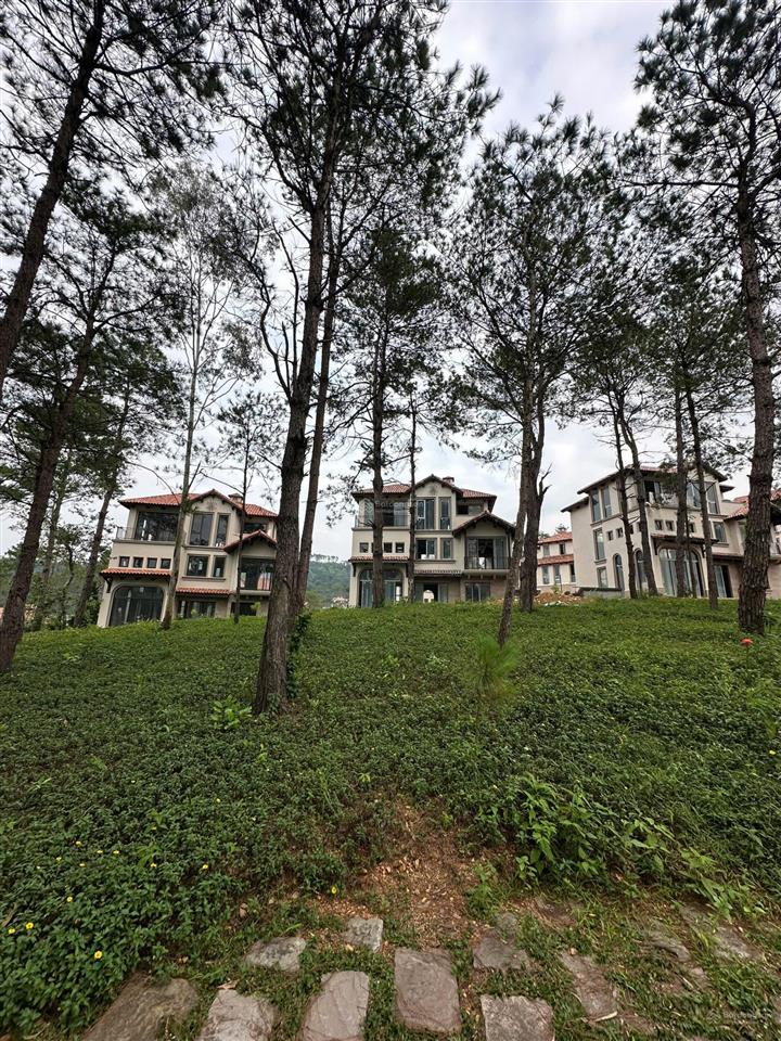Bán ngoại giao căn hoa hậu biệt thự đơn lập 372m2 dự án valley park  thanh xuân valley