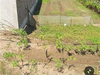 Bán mảnh đấ thổ cư  chiều rộng 7m.