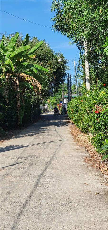 Bán đất 178m2 tại ấp phú điền 2, đường trà cổ, giá siêu hời 529 triệu