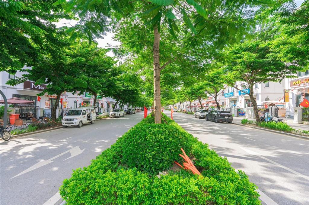 Chính chủ gửi bán căn biệt thự song lập an quý rẻ hơn tt 10%